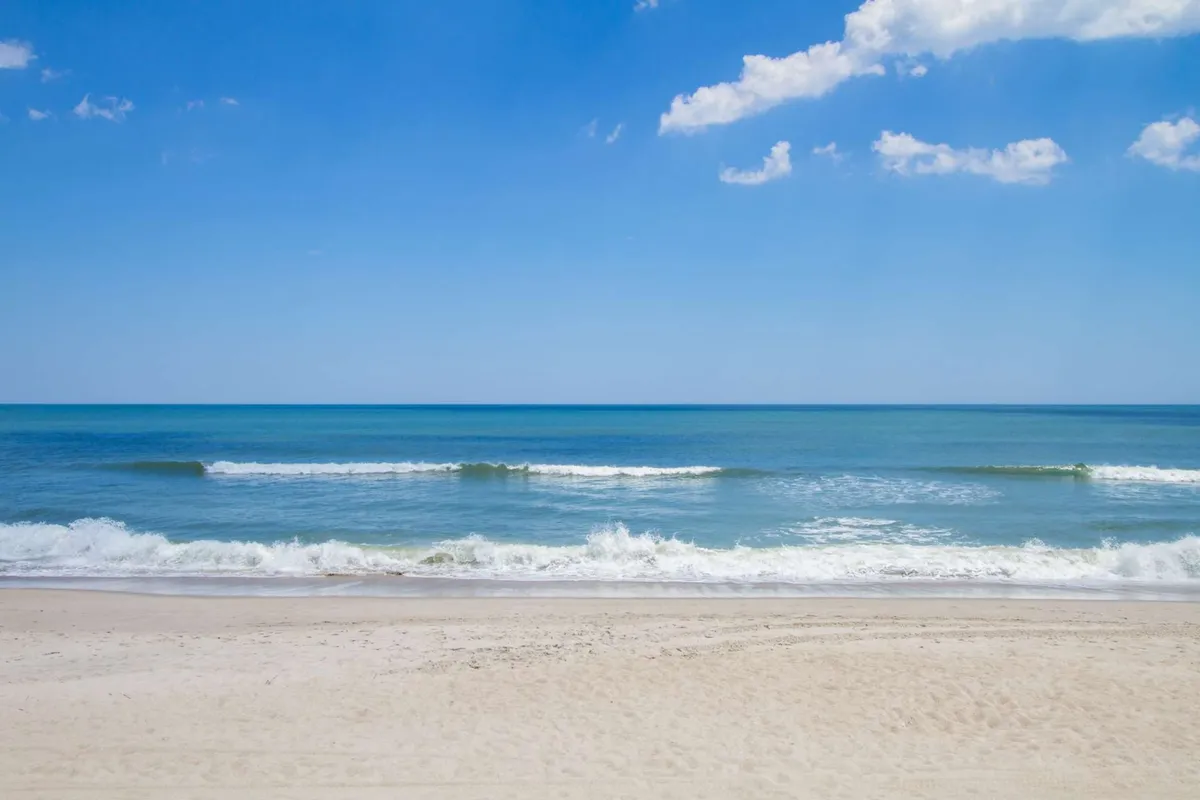 A wide view of a sandy beach stretching along the coastline, with gentle ocean waves rolling in under a clear blue sky. The scene is bright and inviting, epitomizing a classic beach day ideal for walks, beachcombing, or enjoying time with a pet.